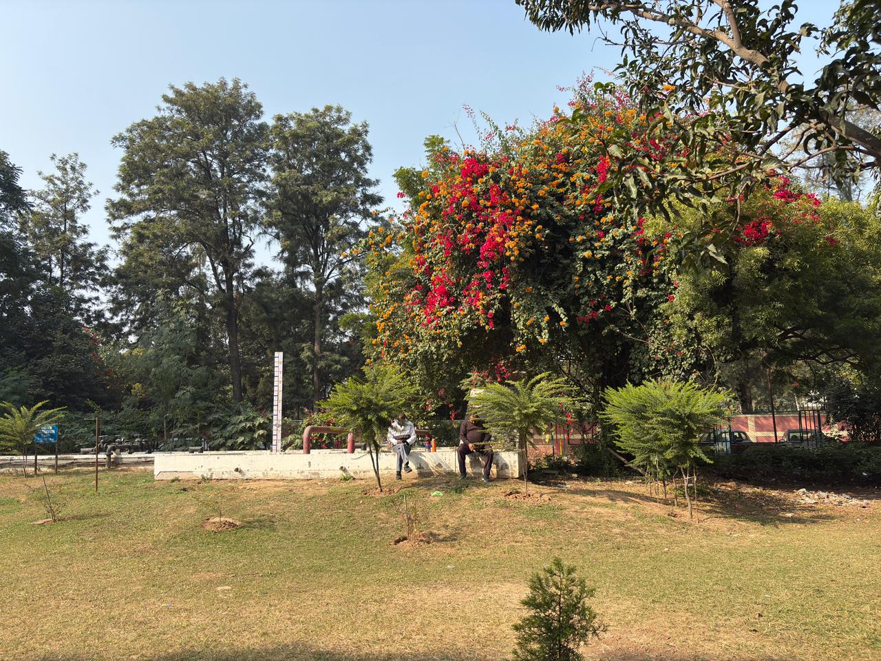 GGDSD Campus photo 15