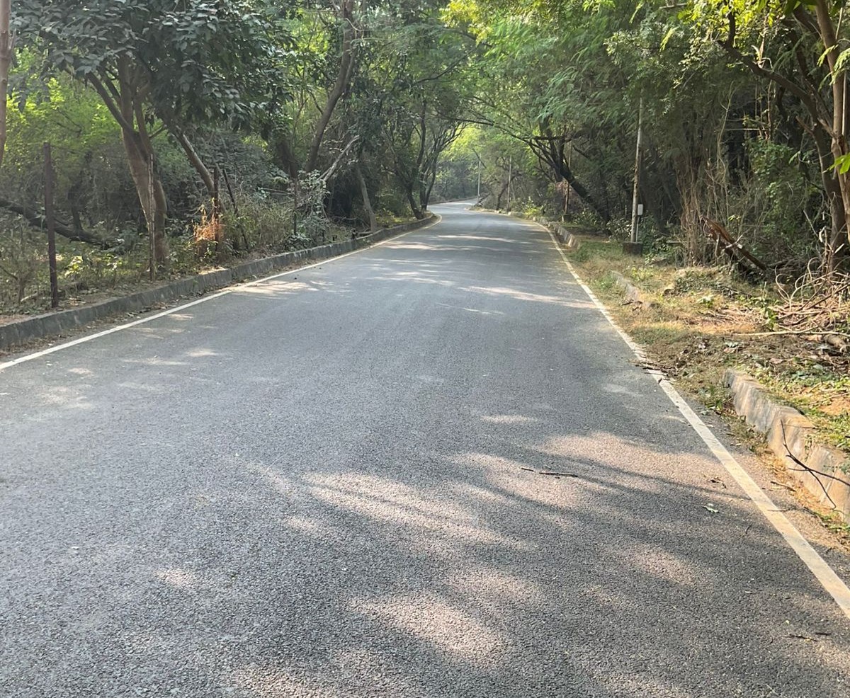 JNU campus photo 9