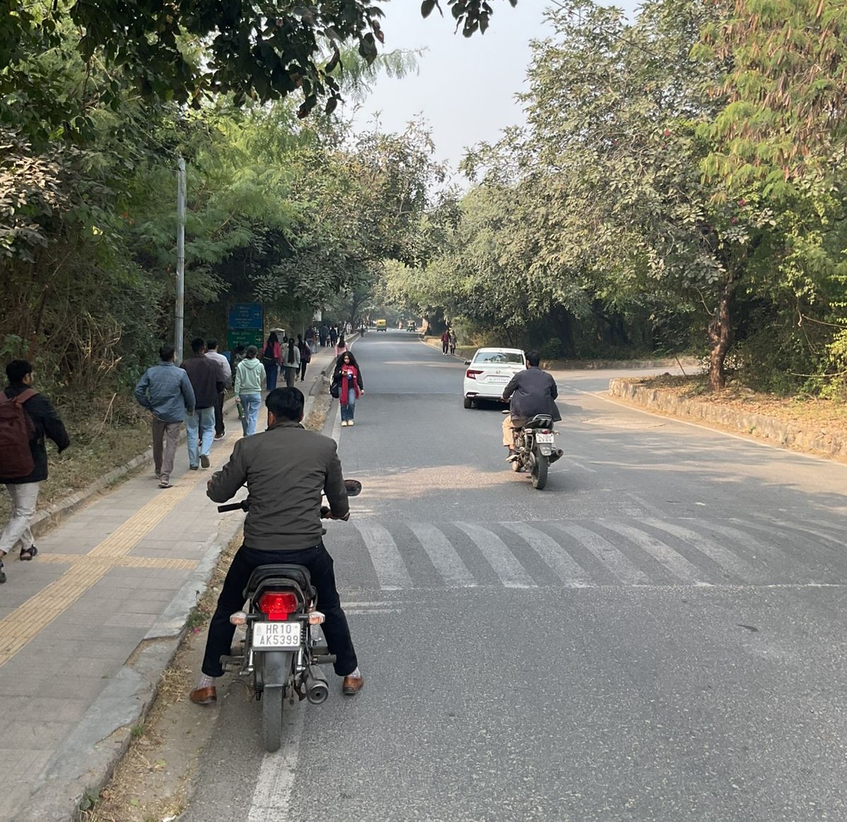 JNU campus photo 11
