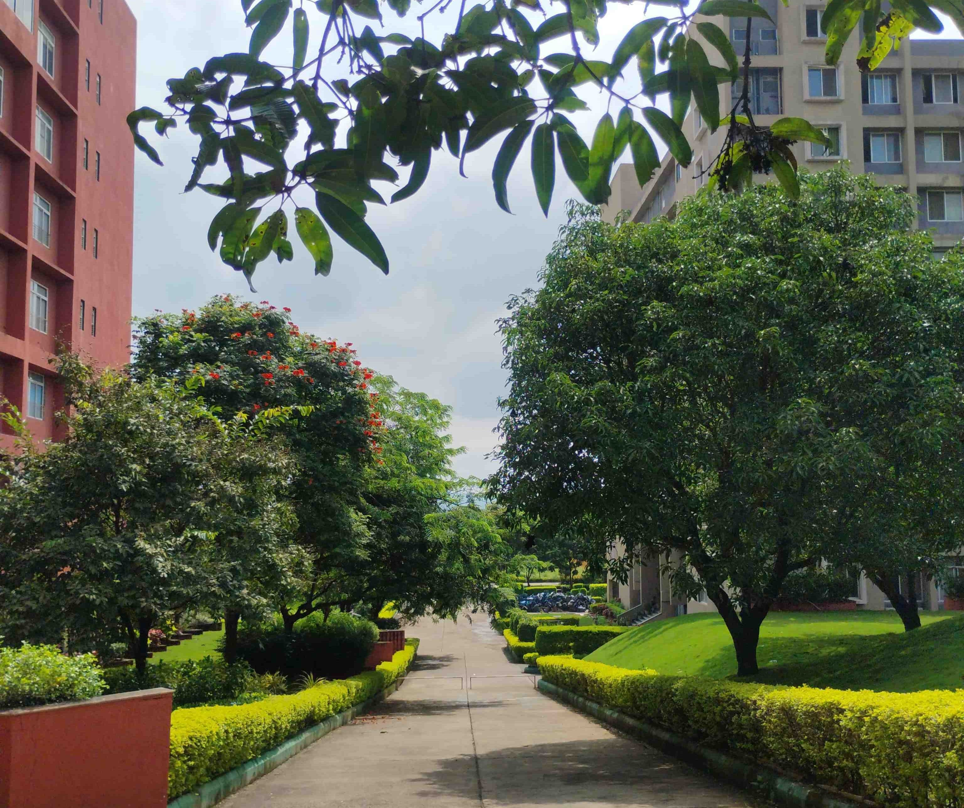 DY Patil University Pune Academic Building photo 25