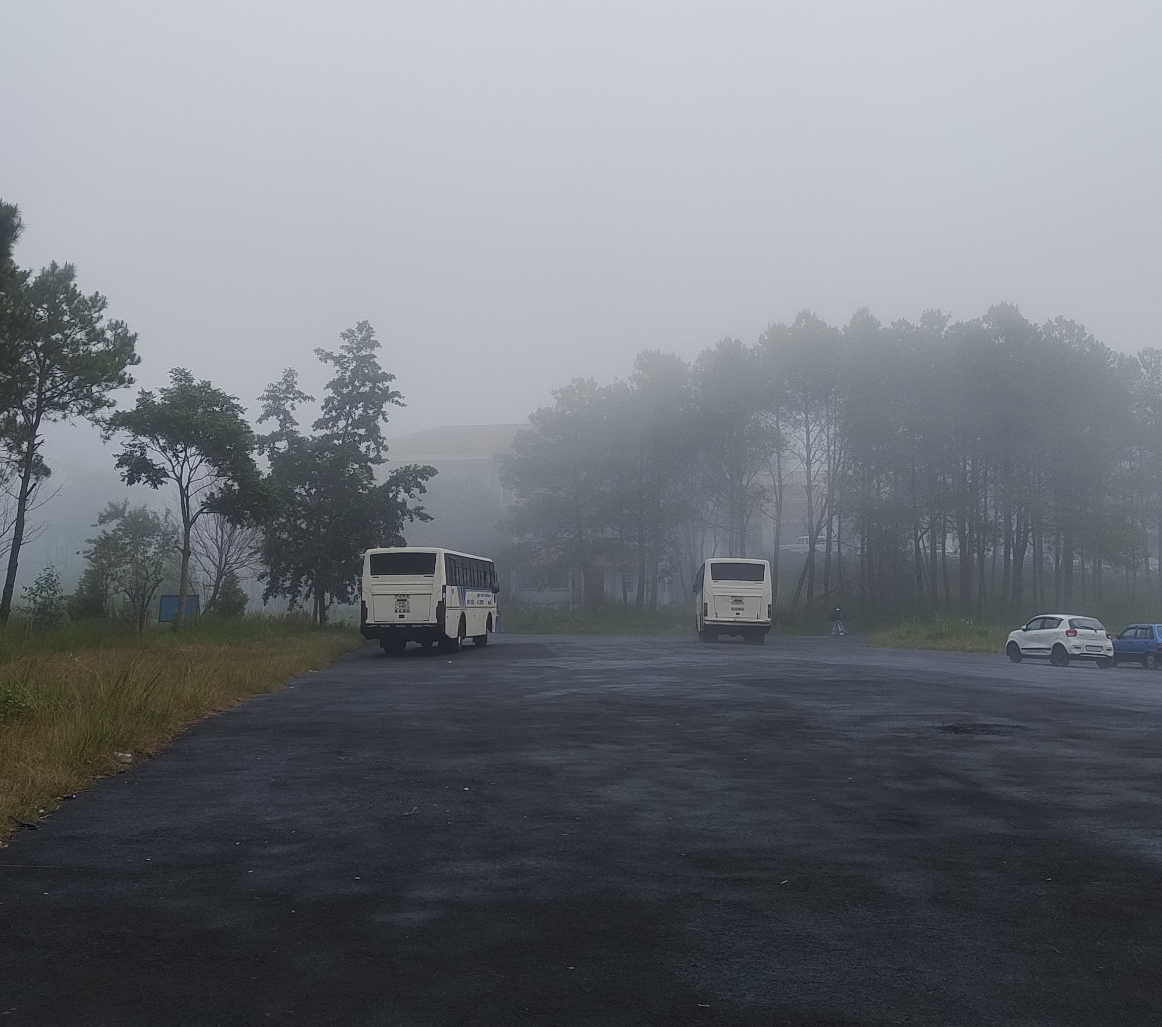 NEHU Campus photo 2