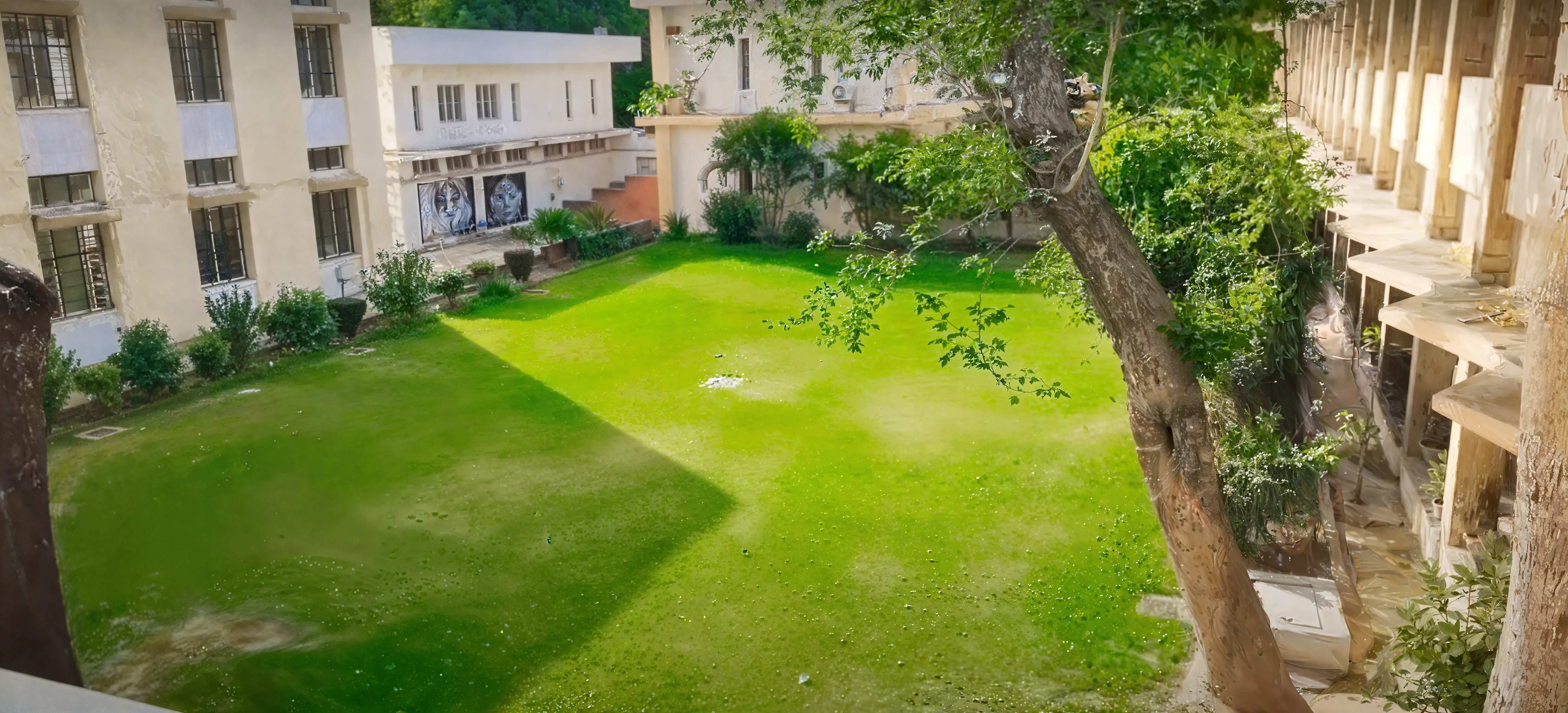 MITS Gwalior Academic Building photo 10