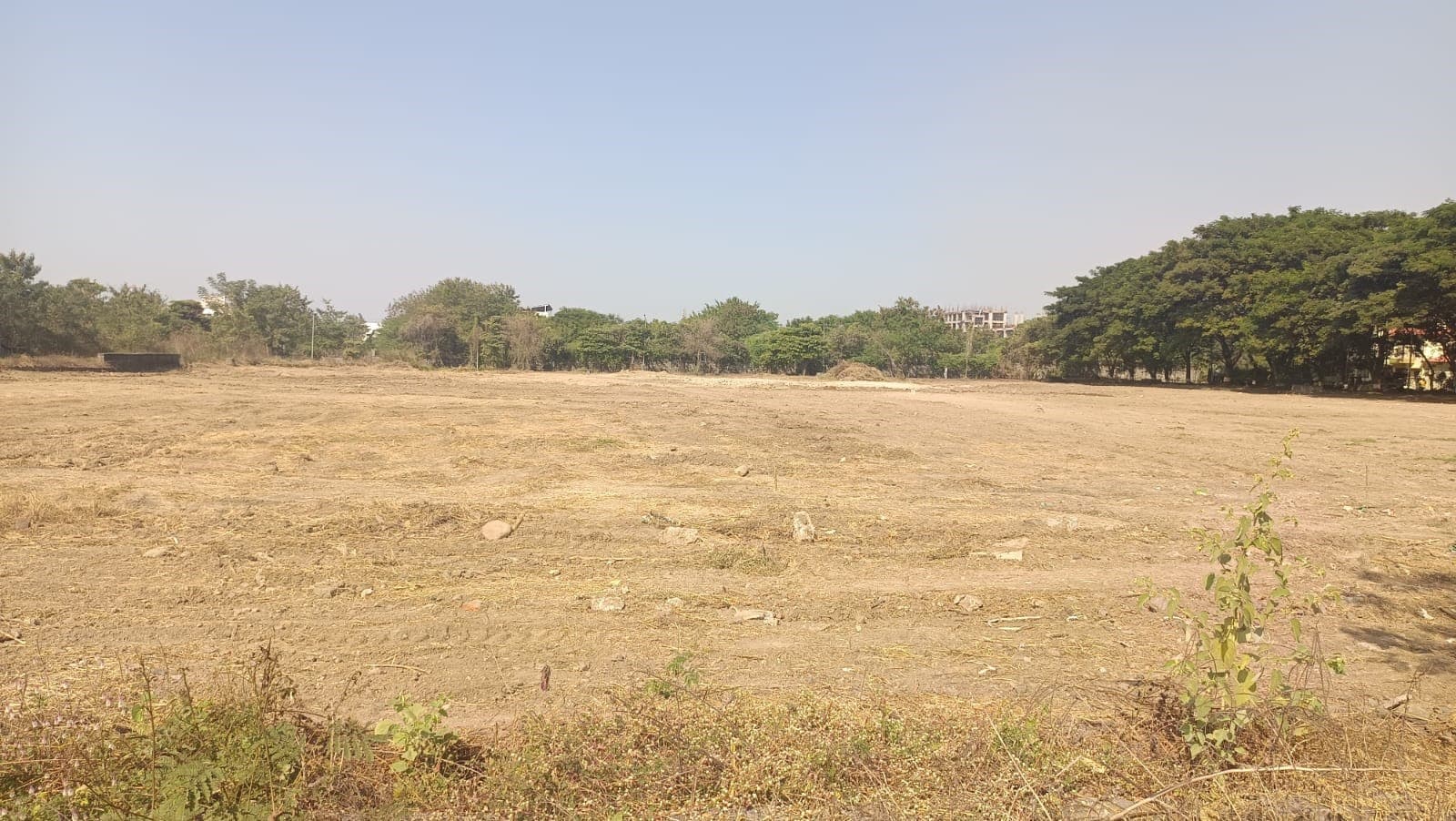 NFSC Nagpur Play Ground photo 2