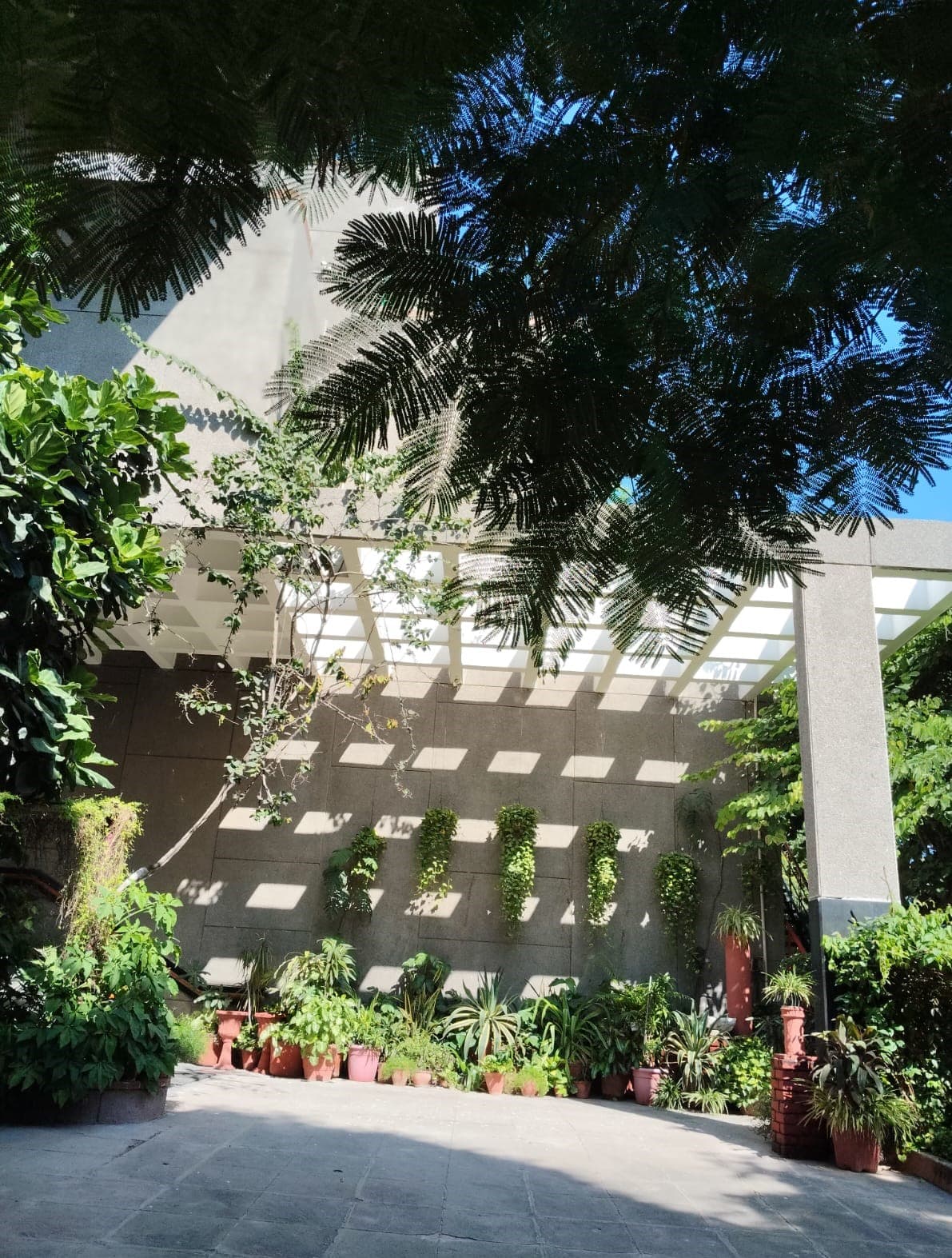 Apeejay Institute of Design New Delhi Campus photo 2