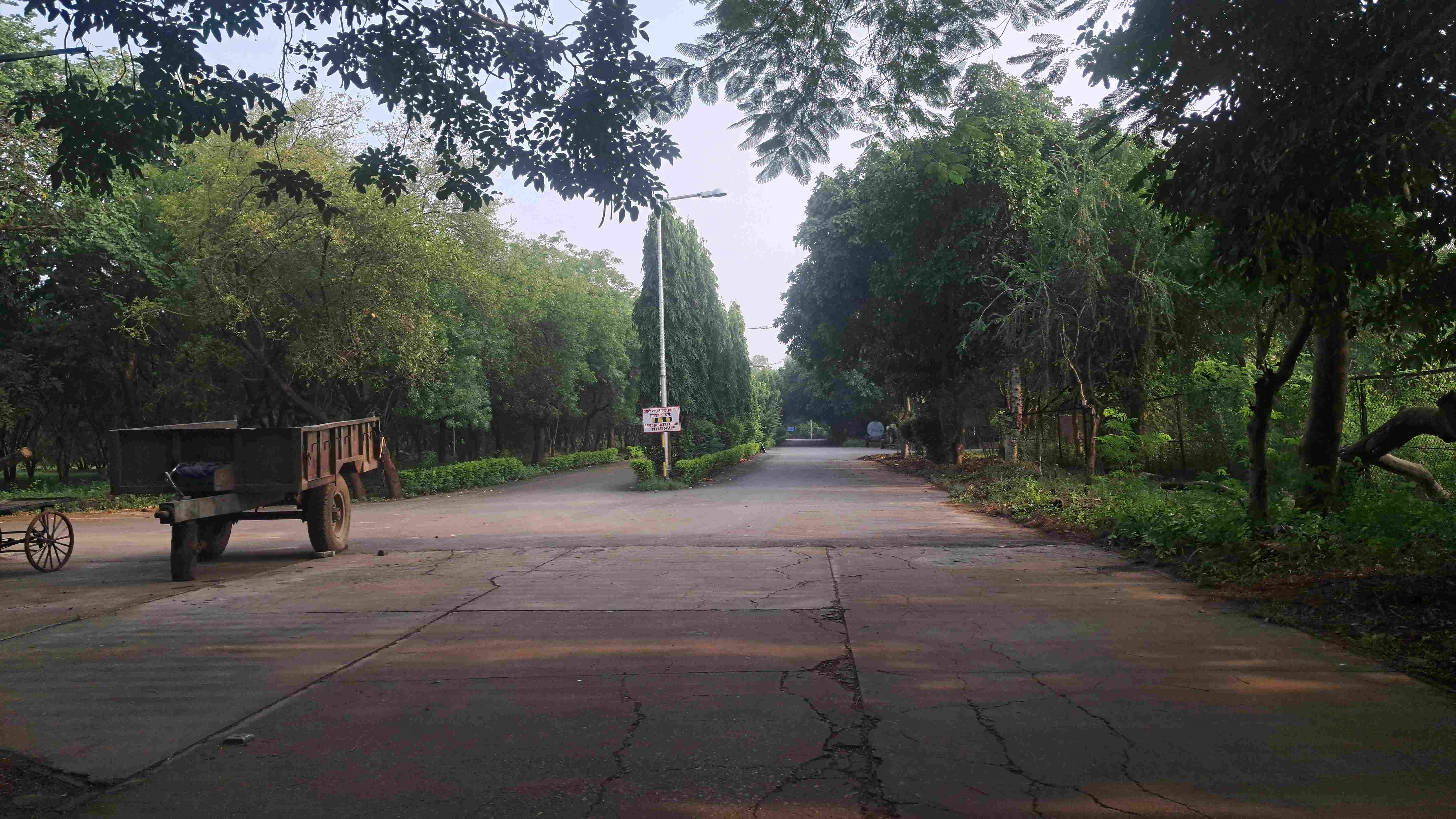 IIITM Gwalior Academic Building photo 18