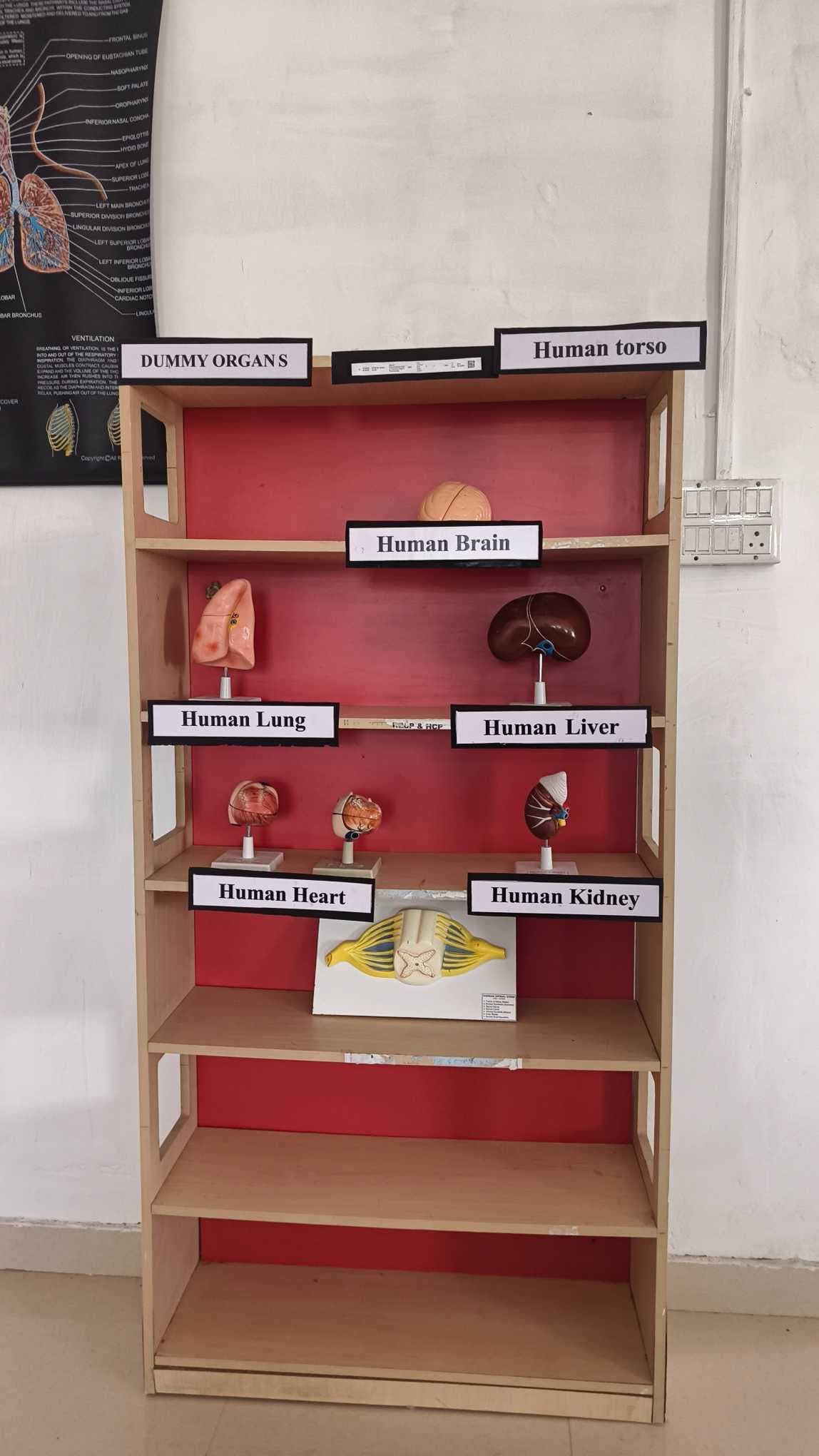 Krishna Institute of Pharmacy Campus photo 42