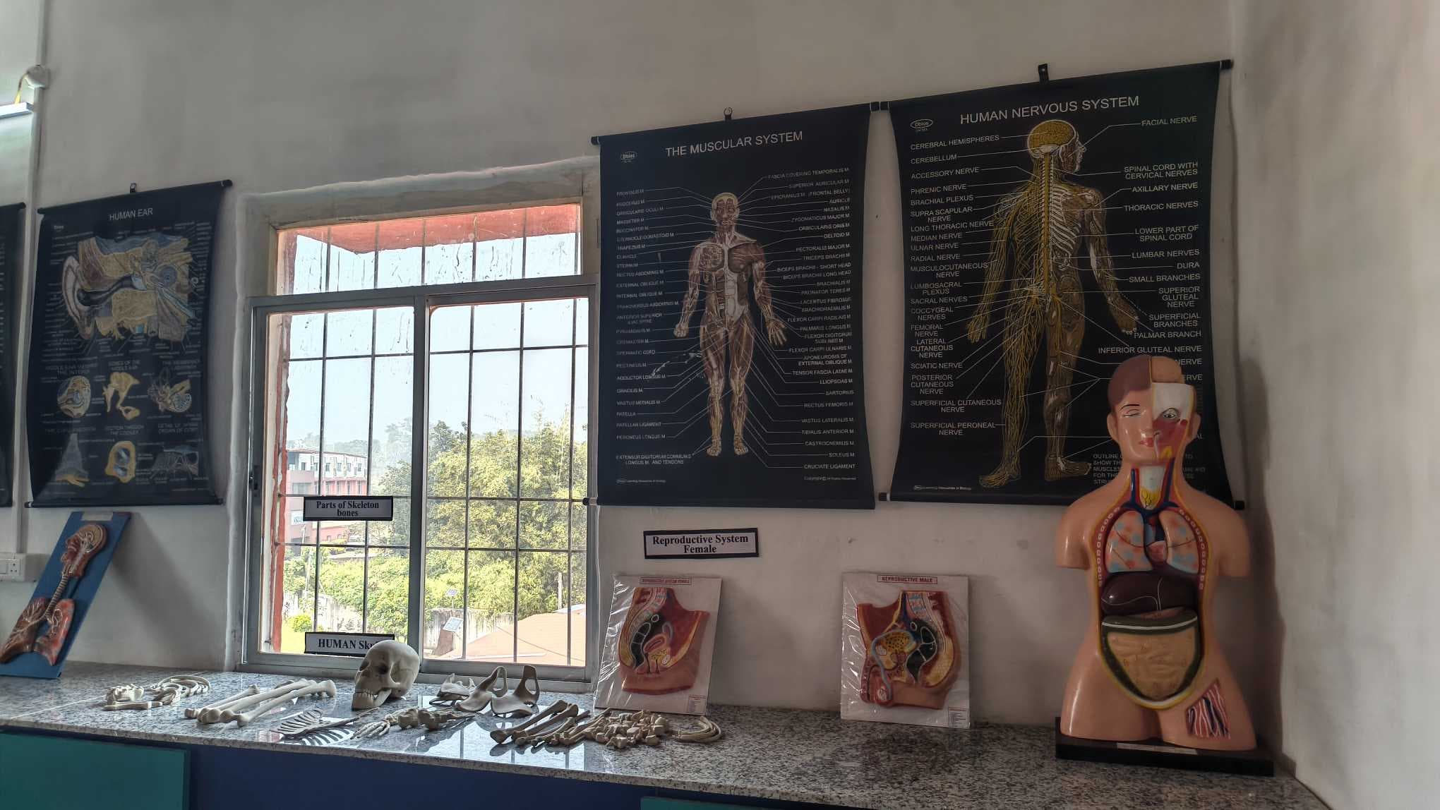 Krishna Institute of Pharmacy Campus photo 45