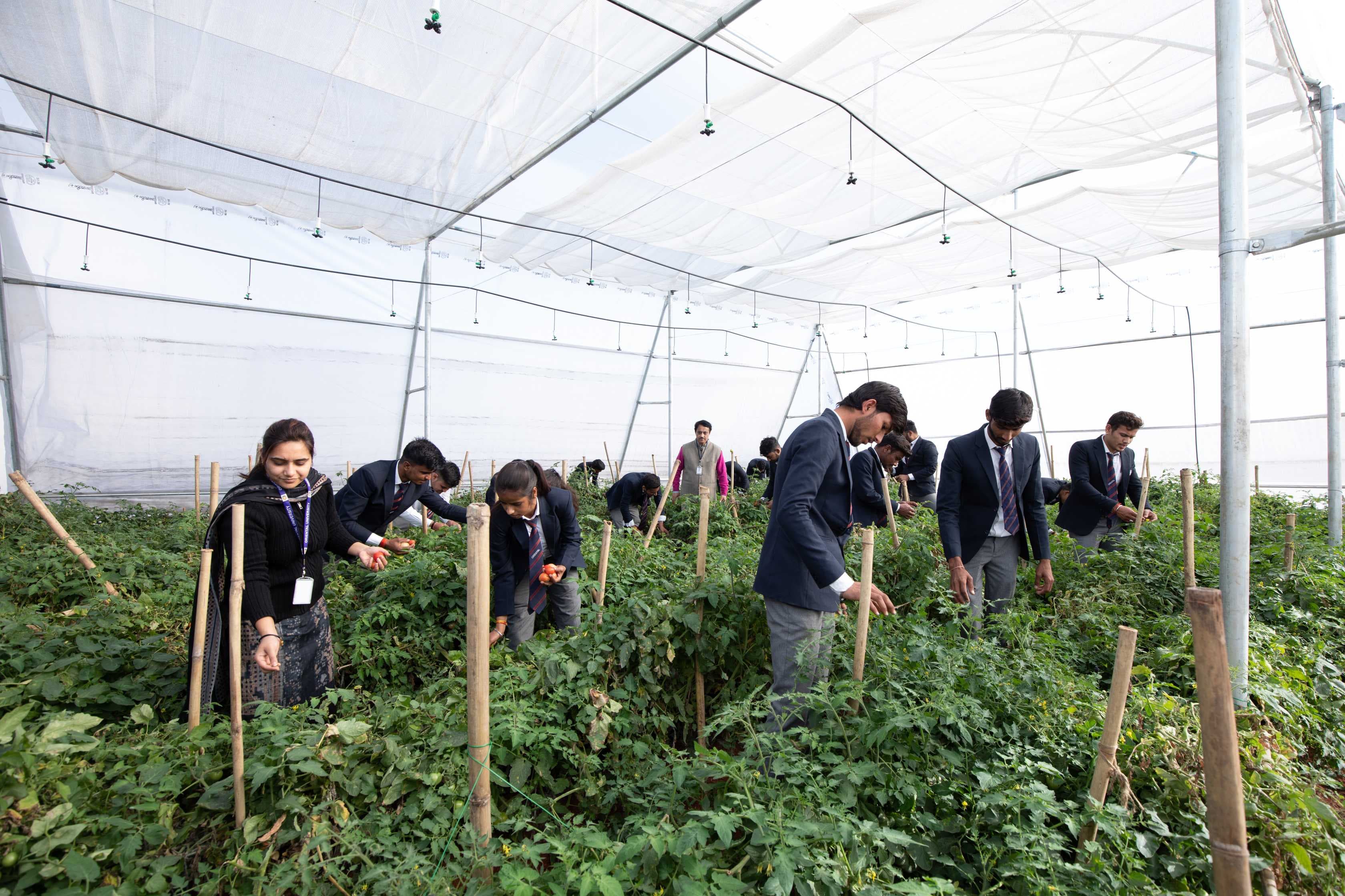 Oriental University Indore Campus photo 35