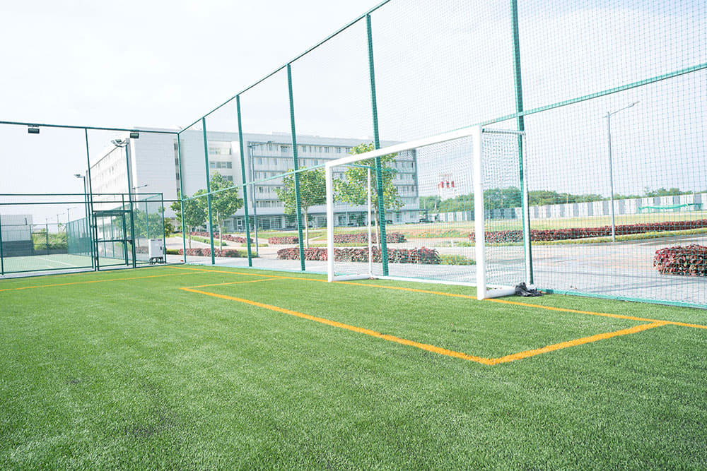 Amity University Hyderabad Sports photo 2