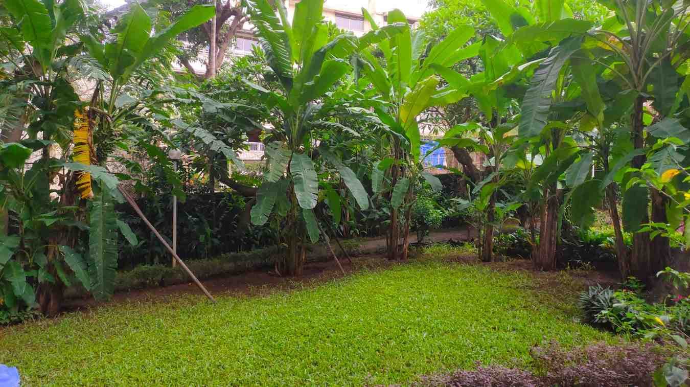 Sophia Polytechnic Mumbai Campus photo 3