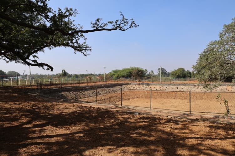 Chanakya University Bangalore Nallur Lake Rejuvenation Photos photo 5