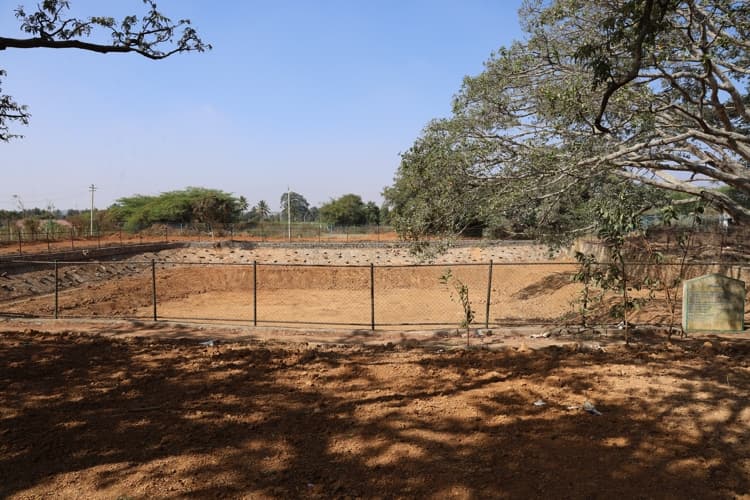 Chanakya University Bangalore Nallur Lake Rejuvenation Photos photo 4