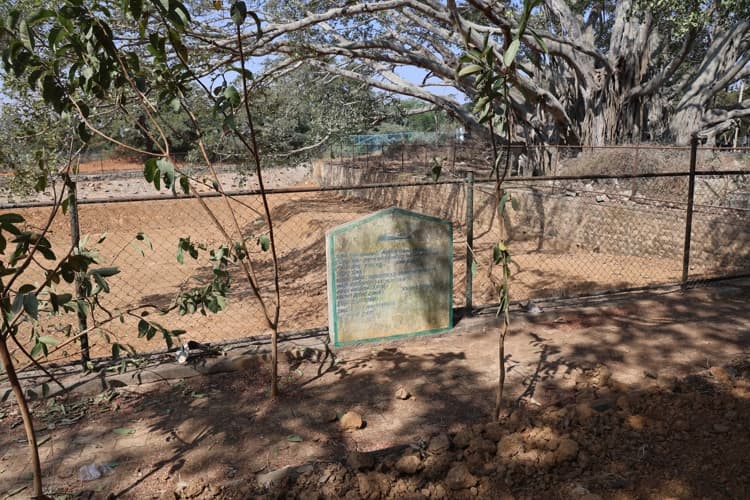 Chanakya University Bangalore Nallur Lake Rejuvenation Photos photo 3