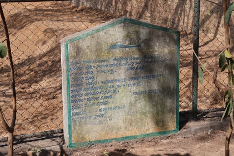 Chanakya University Bangalore Nallur Lake Rejuvenation Photos photo 2