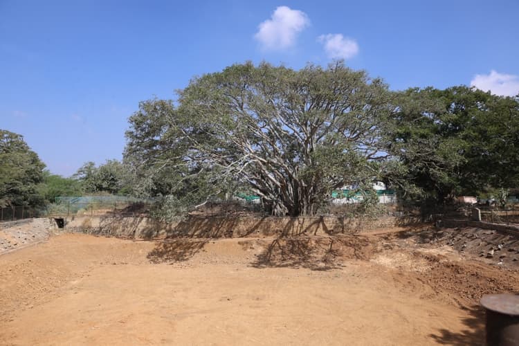 Chanakya University Bangalore National Youth Day- Swami Vivekananda Jayanthi photo 13