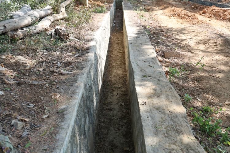 Chanakya University Bangalore Nallur Lake Rejuvenation Photos photo 11