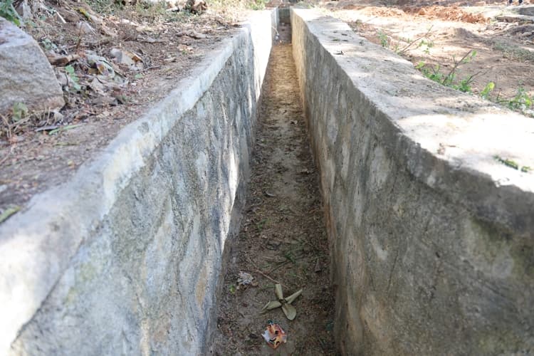 Chanakya University Bangalore Nallur Lake Rejuvenation Photos photo 10