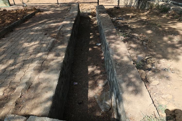 Chanakya University Bangalore Nallur Lake Rejuvenation Photos photo 9