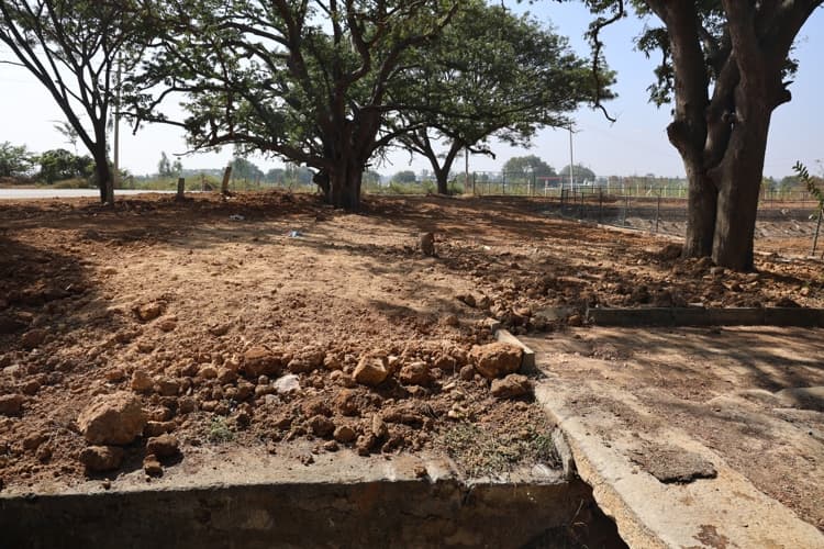 Chanakya University Bangalore Nallur Lake Rejuvenation Photos photo 16