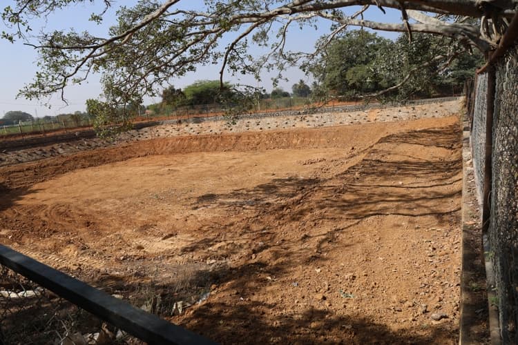 Chanakya University Bangalore Nallur Lake Rejuvenation Photos photo 15