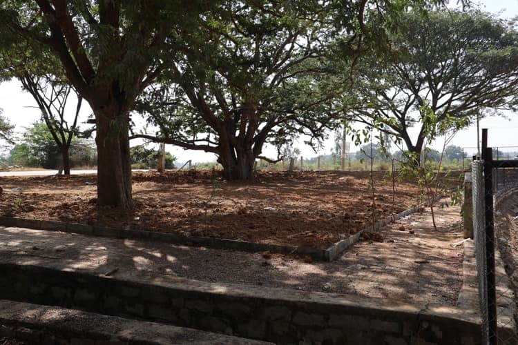 Chanakya University Bangalore Nallur Lake Rejuvenation Photos photo 13