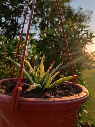 Rai University Ahmedabad Campus View photo 14