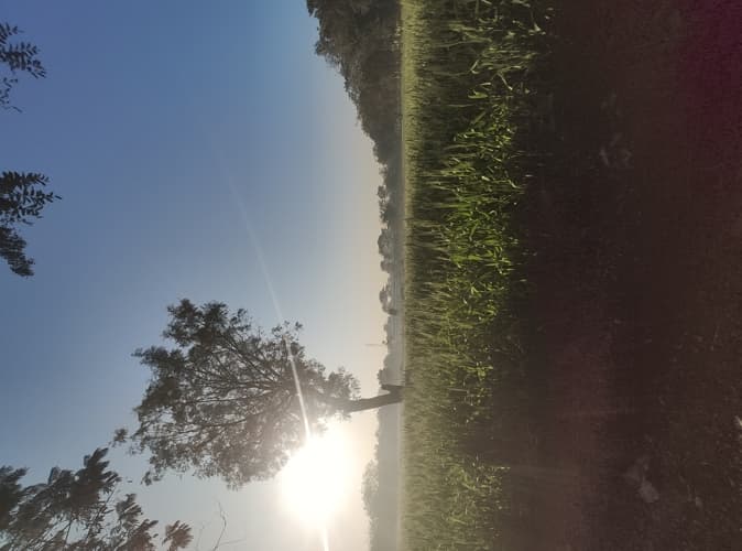 Rai University Ahmedabad Campus View photo 7