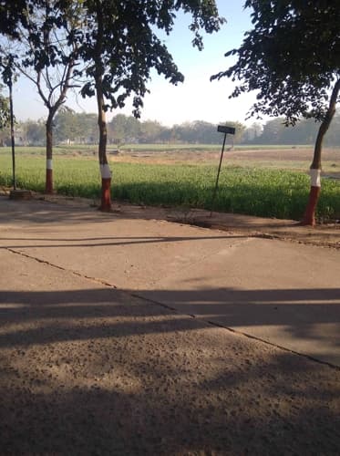 Rai University Ahmedabad Campus View photo 6