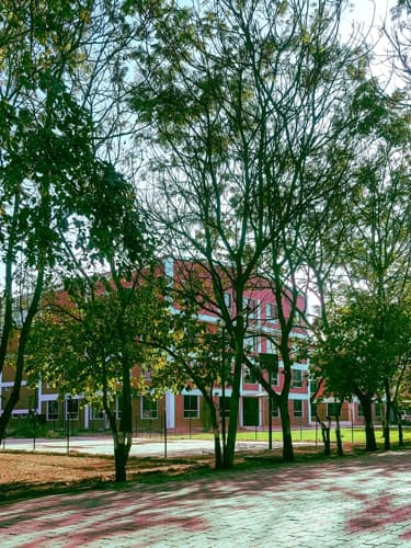 Rai University Ahmedabad Campus View photo 2