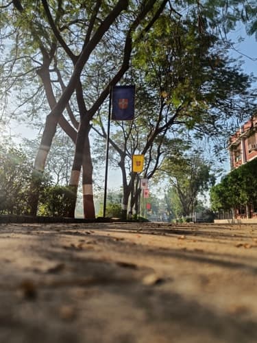 Rai University Ahmedabad Campus View photo 24