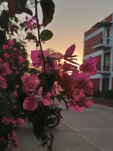 Rai University Ahmedabad Campus View photo 22