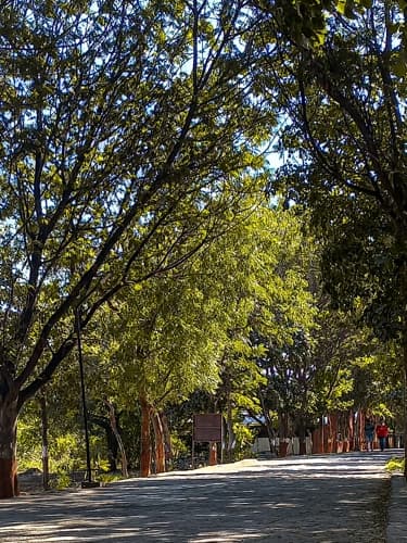 Rai University Ahmedabad Campus View photo 18