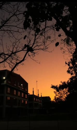 Rai University Ahmedabad Campus View photo 42