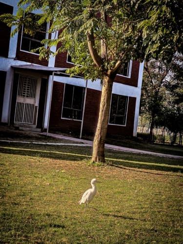 Rai University Ahmedabad Campus View photo 39