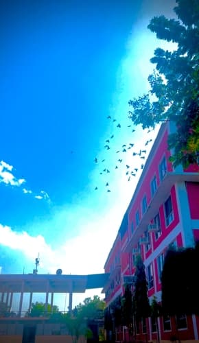 Rai University Ahmedabad Campus View photo 28