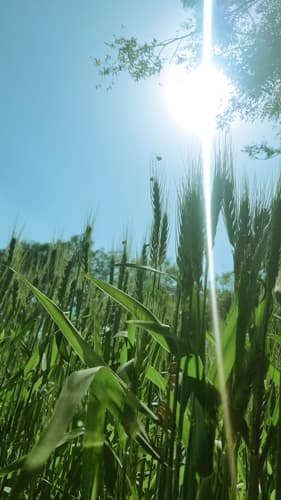 Rai University Ahmedabad Campus View photo 43