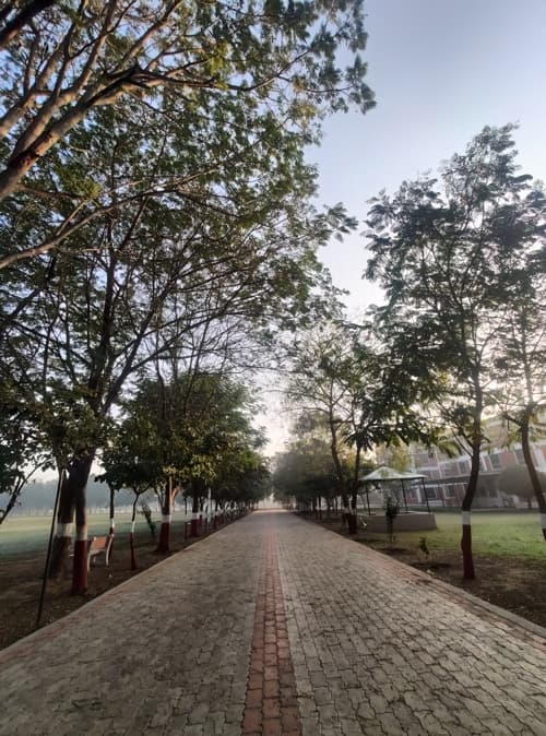 Rai University Ahmedabad Campus View photo 50