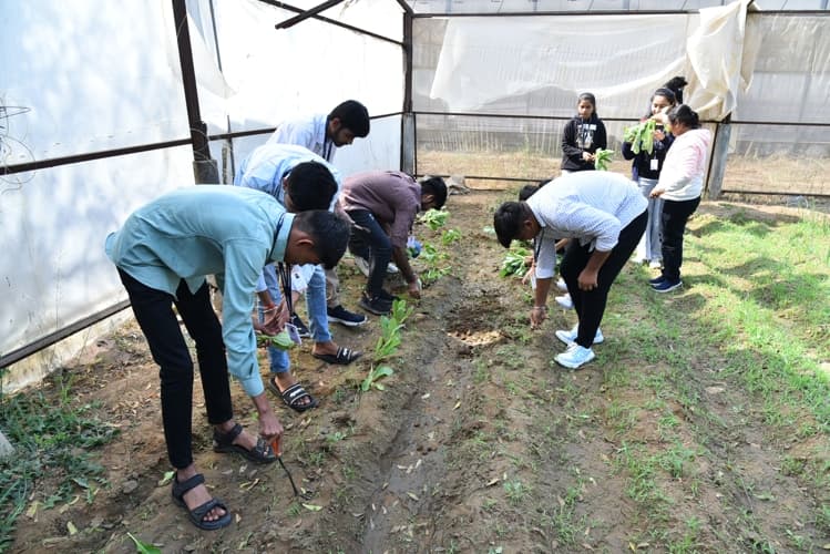Rai University Ahmedabad Students@ RU photo 34