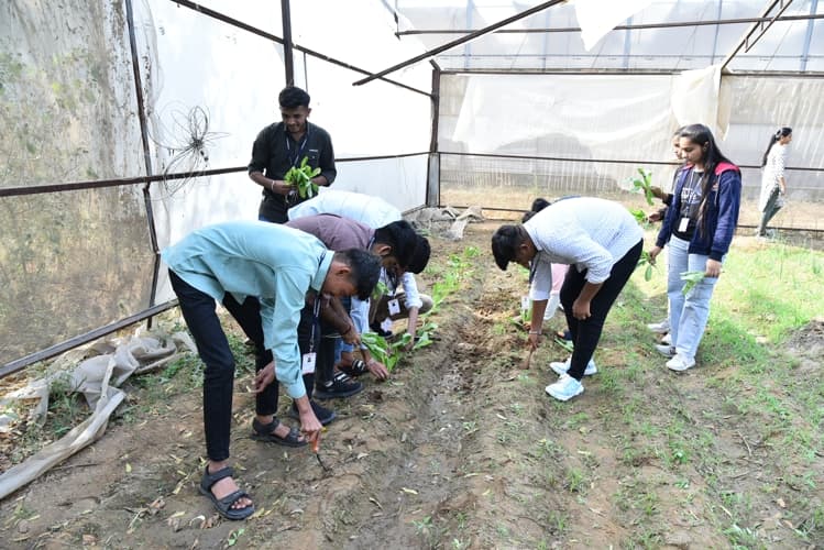 Rai University Ahmedabad Students@ RU photo 33