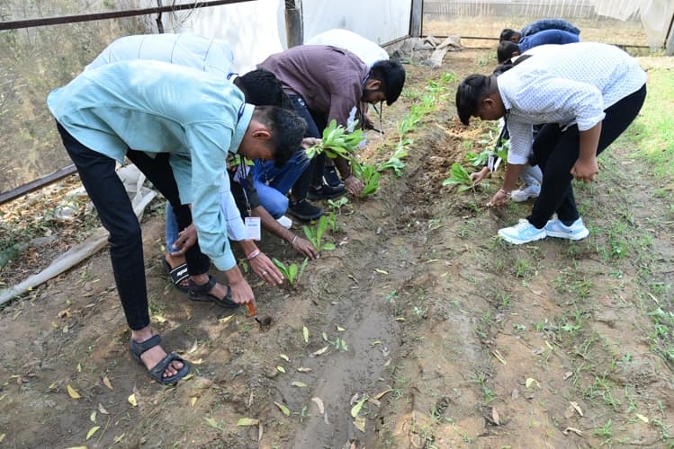 Rai University Ahmedabad Students@ RU photo 32