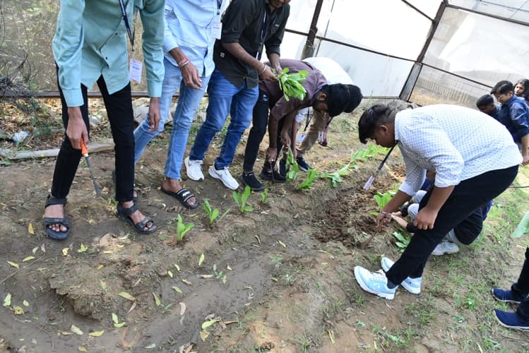 Rai University Ahmedabad Students@ RU photo 31