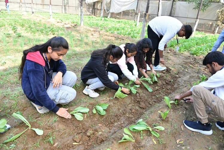 Rai University Ahmedabad Students@ RU photo 30