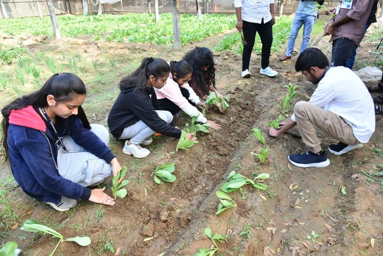 Rai University Ahmedabad Students@ RU photo 29