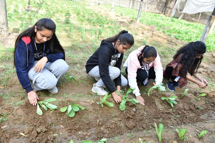 Rai University Ahmedabad Students@ RU photo 28