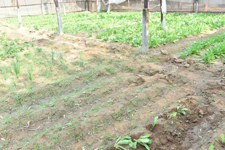 Rai University Ahmedabad Students@ RU photo 27