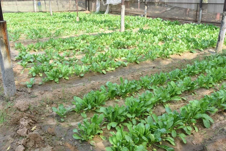 Rai University Ahmedabad Students@ RU photo 26