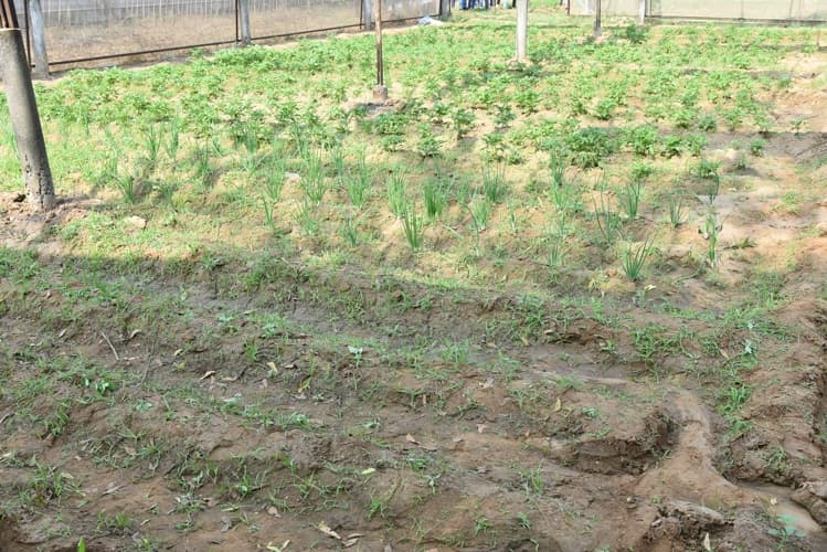 Rai University Ahmedabad Students@ RU photo 25