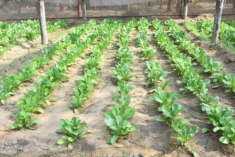 Rai University Ahmedabad Students@ RU photo 24