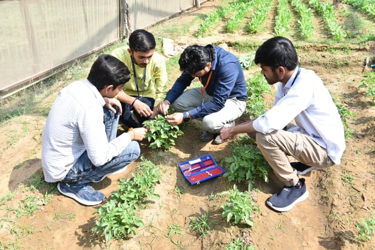 Rai University Ahmedabad Students@ RU photo 23