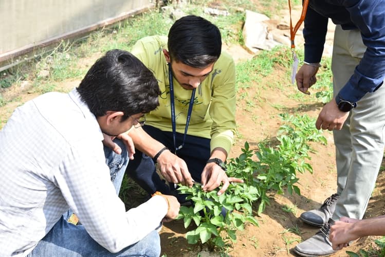 Rai University Ahmedabad Students@ RU photo 21